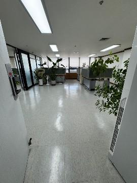 신논현역 도보4분 넓고 깔끔한 사무실입니다.
