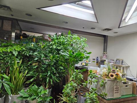 월세 저렴한, 한강로3가 지하1층 꽃집