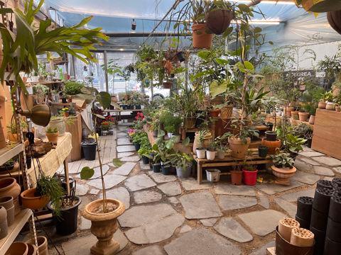 길동 화원거리, 단골 손님 많은 화원