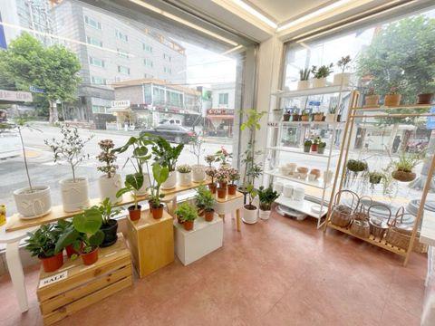 공릉동 태릉입구역 역세권, 깔끔한 인테리어, 단골 고객 많은 꽃집