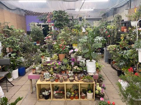 길동 화원거리, 포괄 양도양수 화원