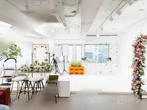 강남 자연광 플라워 호리존 컨셉 스튜디오