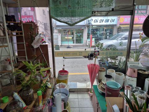 개봉동 전체 양도 가능한 꽃집