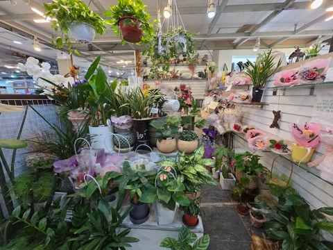 장안동 중심상권, 유동인구 많아 고개 유입 좋은 꽃집