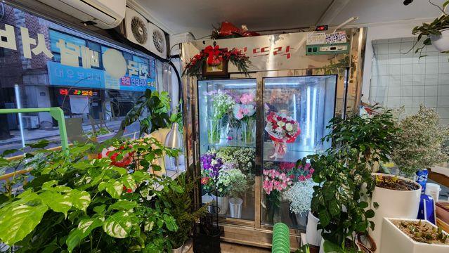 창동 주거지역 위치, 시설, 인테리어 완비, 단골 고객 많은 꽃집