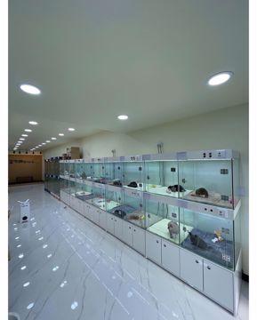 대로변 상권, 주목도 높은 원동 1층상가