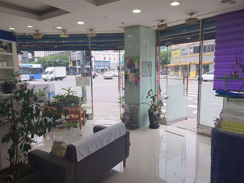 대로변 코너자리, 주목도 높은 군자동 1층 상가
