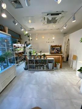 회현/명동 회사본점들 사이에 있는 꽃집이에요