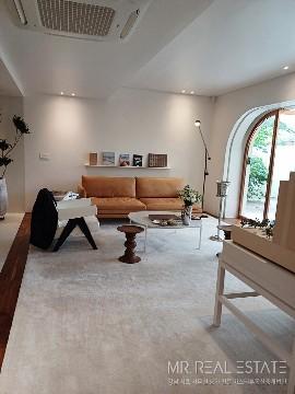 주택형 통사옥 정원 테라스 가성비ACE