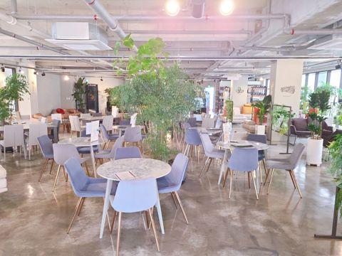 홍대입구역 도보 3분 홍대상권 중심부에 위치 전통차카페