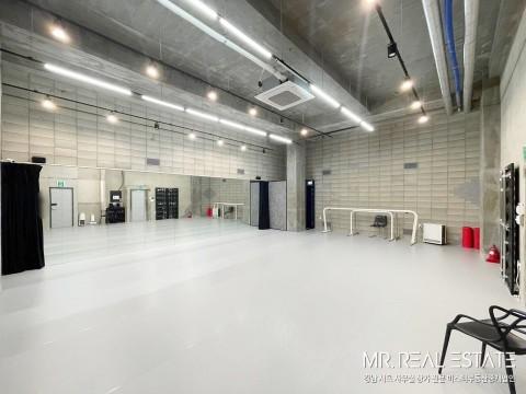 남부터미널.도보6분.지하스튜디오.ACE매물.사진有