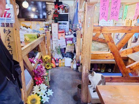 면목동 상권 잡혀있는 실내포차