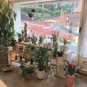 역삼동 언주역 역세권, 깔끔한 인테리어, 입소문 듣고 찾아오는 꽃집