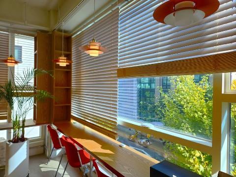 카페 감성 가득한 오피스, 창밖으로 녹음이 펼쳐지는 공간