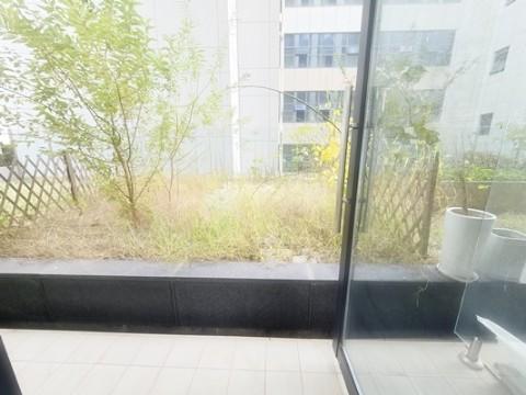 화단 및 미니텃밭, 사무실, 스튜디오등 추천