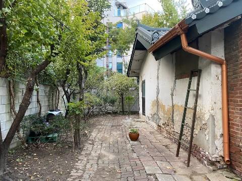 마당에 나무가 있는 단독주택형 상가입니다.